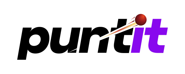 Puntit Casino logo