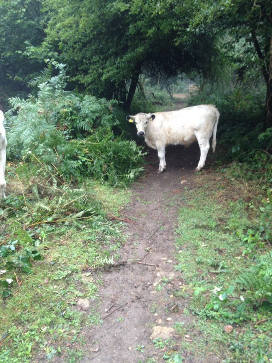 20131005-105002 pm.jpg