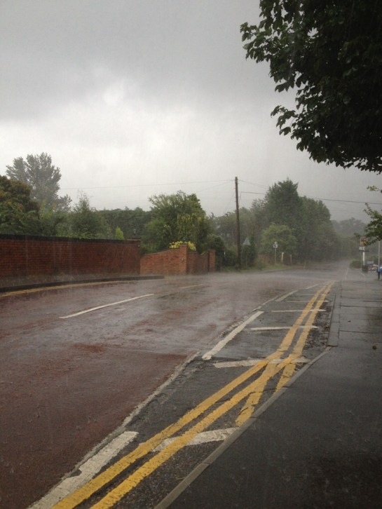 20131005-105022 pm.jpg