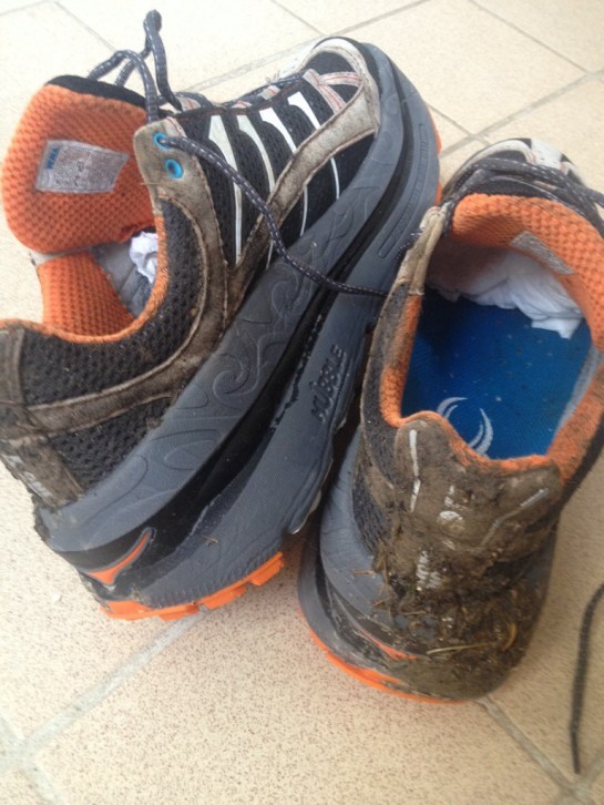 20131005-105109 pm.jpg