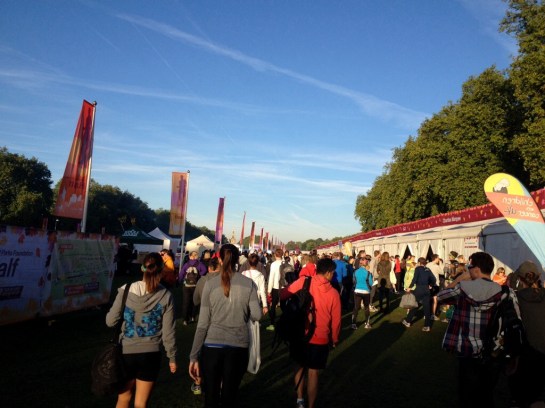 20131006-084716 pm.jpg