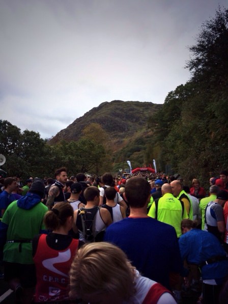 20131104-080334 pm.jpg