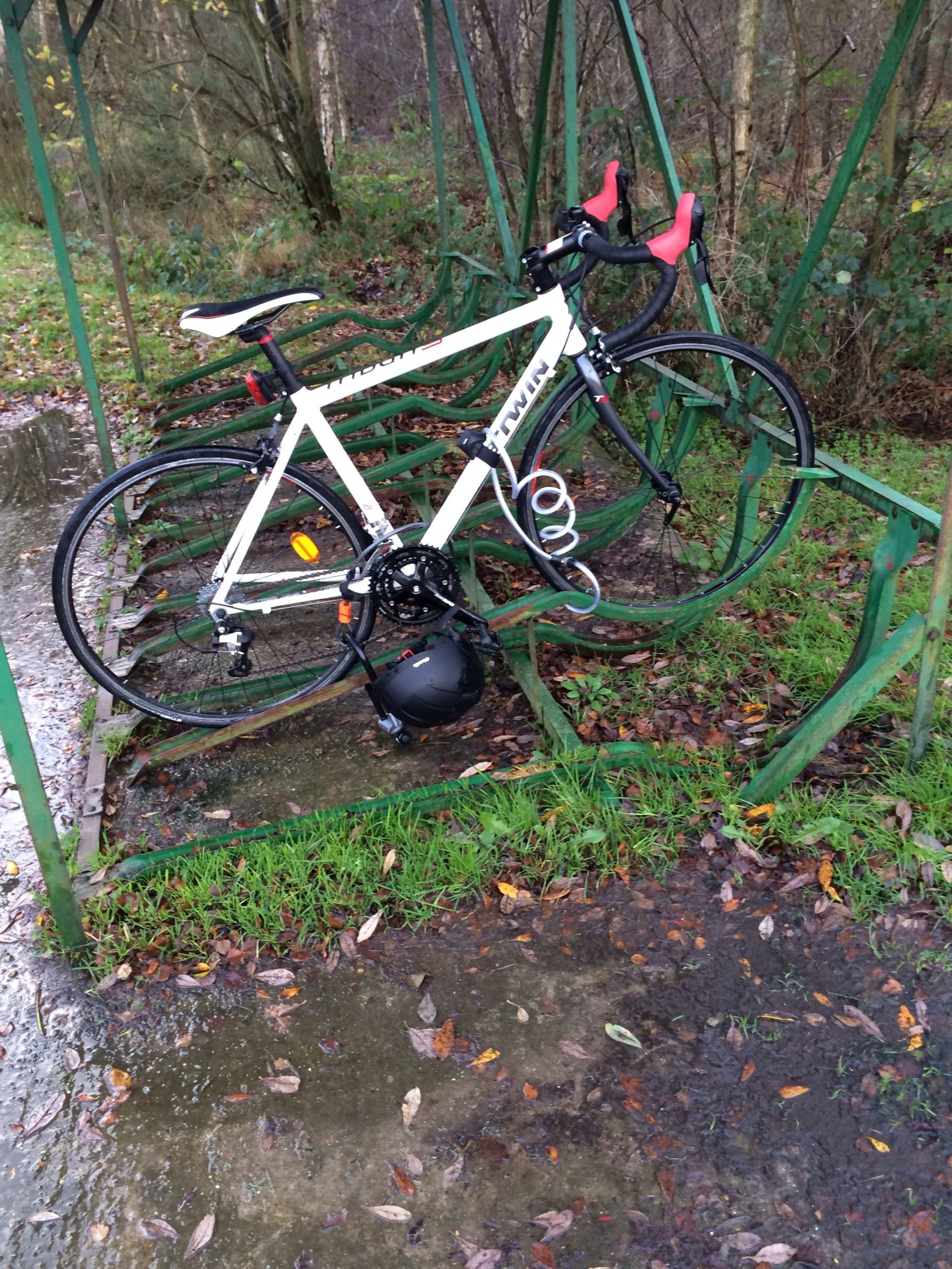 20131224-101125 am.jpg