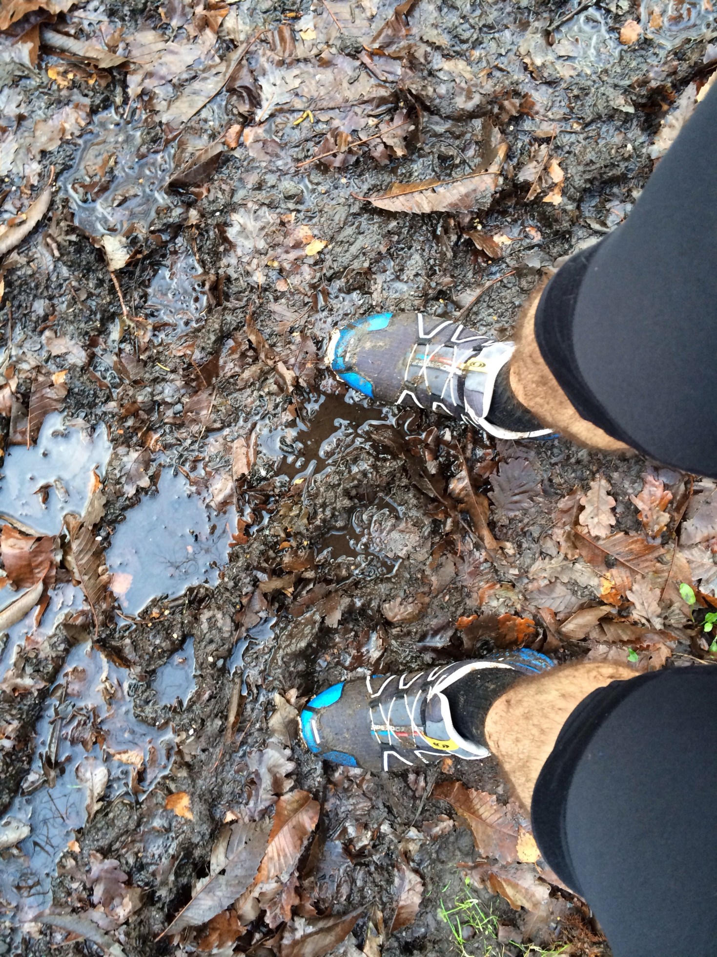 20131224-101154 am.jpg