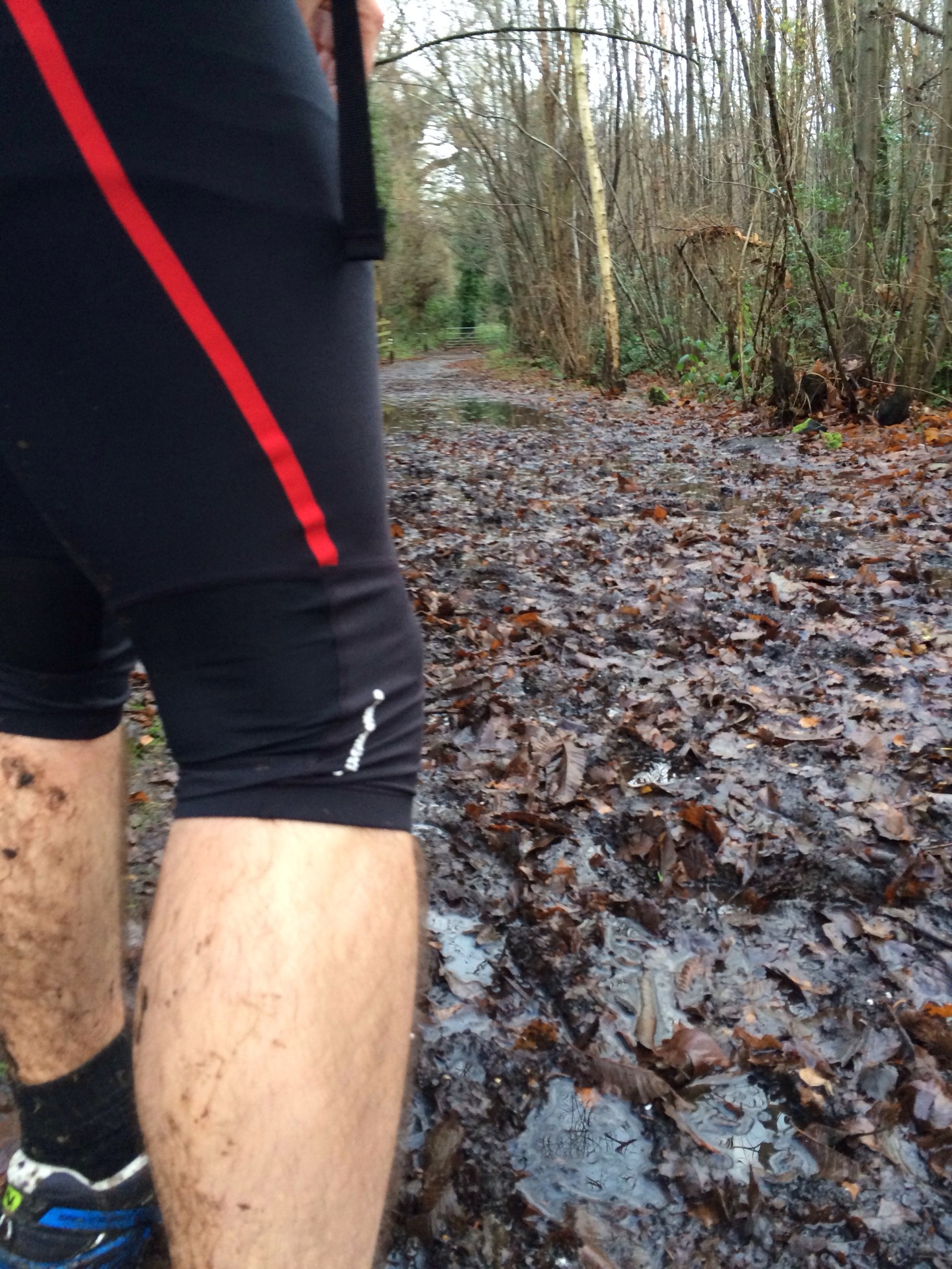 20131224-101203 am.jpg