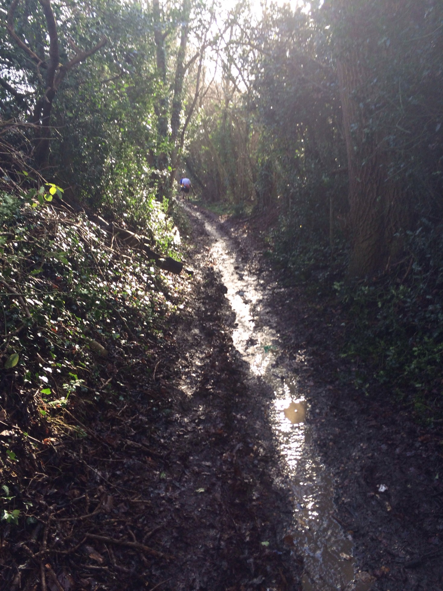 20140113-124447 pm.jpg