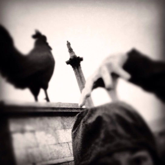 20140116-012144 pm.jpg