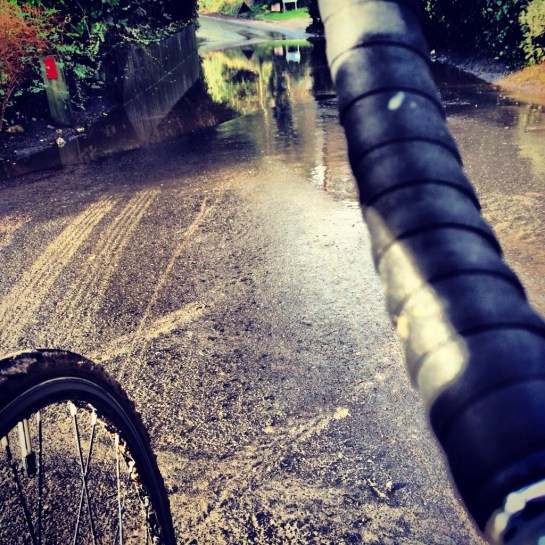 20140202-053219 pm.jpg