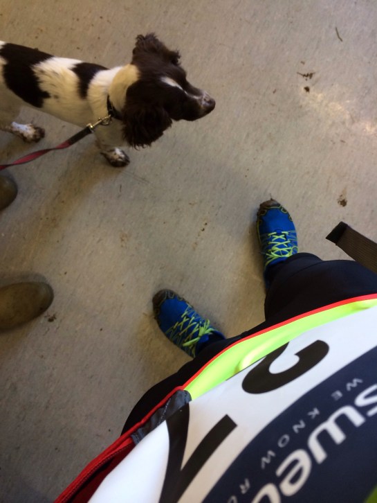 20140217-072712 am.jpg