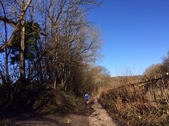 20140217-072845 am.jpg