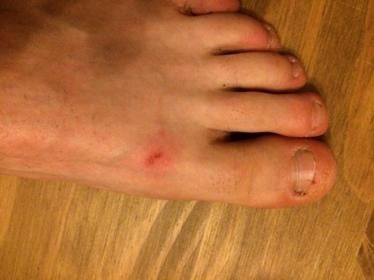 20140225-075451 pm.jpg