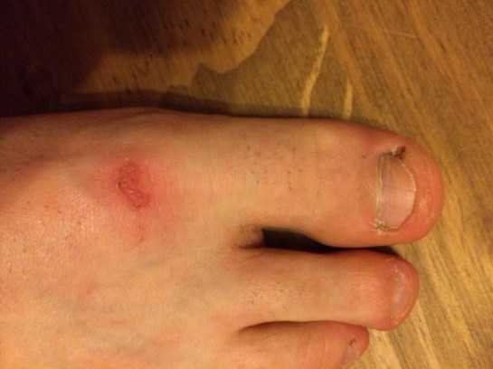 20140225-075542 pm.jpg