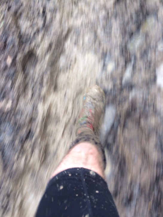 20140304-110448 am.jpg