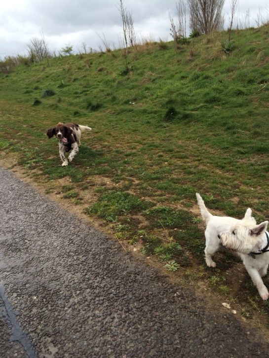 20140327-065918 am.jpg