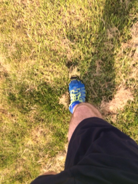 20140329-105825 pm.jpg