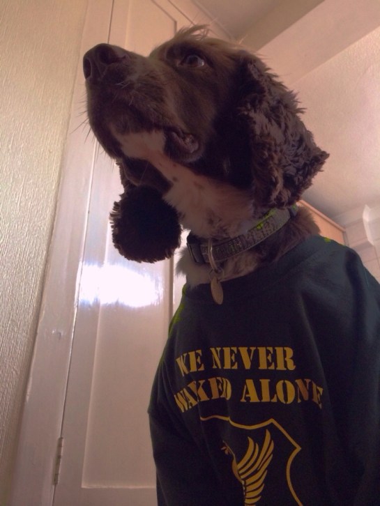 20140407-013311 pm.jpg