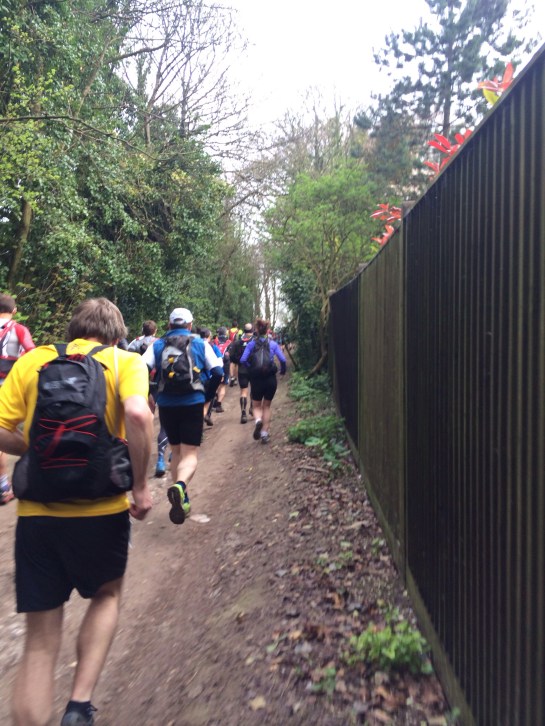 20140408-103116 pm.jpg